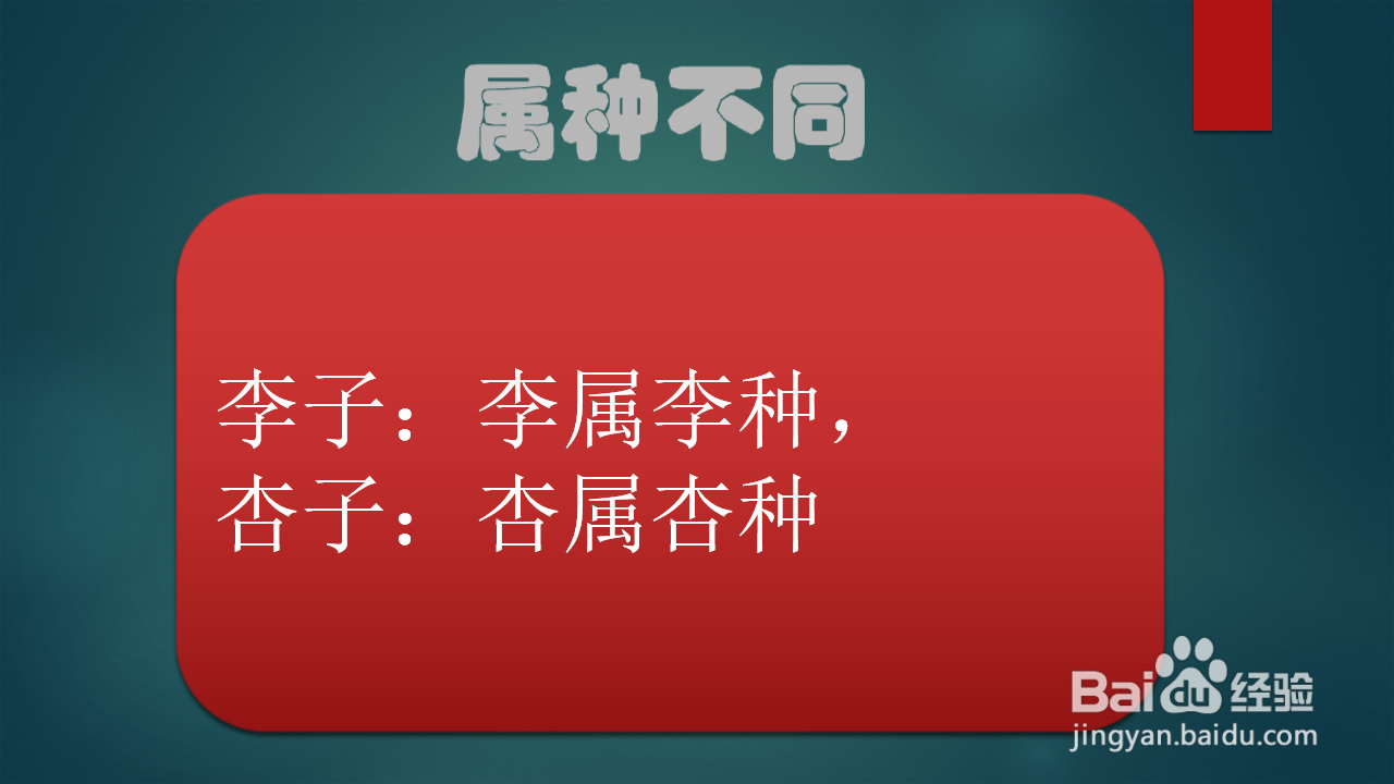 李子和杏子有什么区别