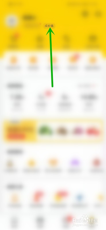 如何查看美团账户的成长值?