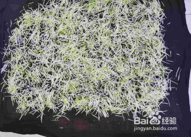 炝拌白萝卜丝