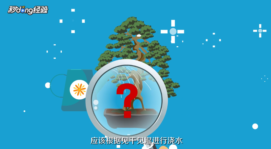 雀梅的养殖方法和注意事项是什么？