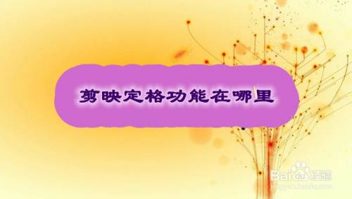 剪映定格功能在哪里