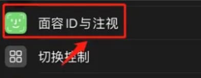 苹果手机怎样开启面容ID
