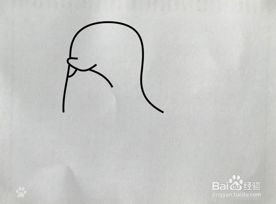 【简笔画】海犳的画法
