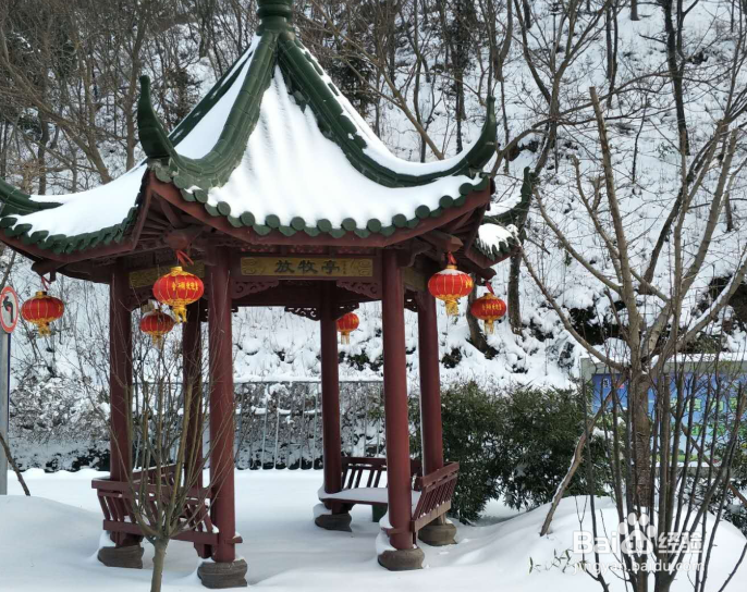 金牛湖有什么好玩的？