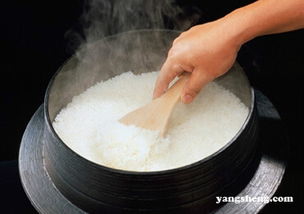 怎么做米饭比较健康