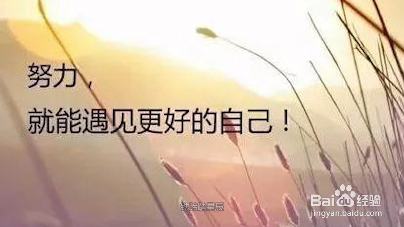 努力加油的简单句子