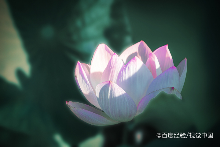 五家渠沙湖景区怎么导航
