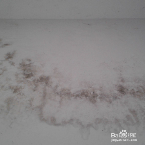 墙面发霉的原因和处理方法