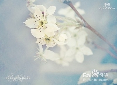 急性支气管炎症状