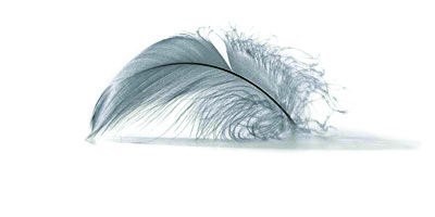 羽绒服应该怎么洗?