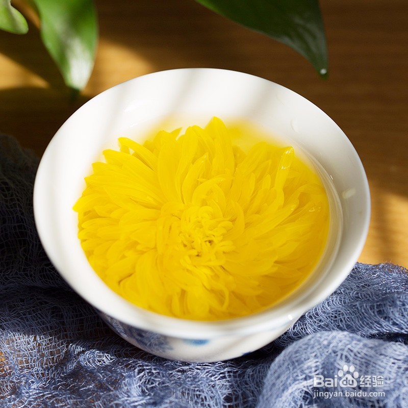 金丝皇菊的作用