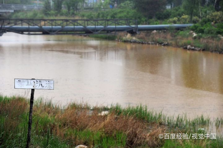 哪里可以钓小龙虾