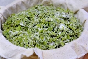 蒸榆钱的制作方法