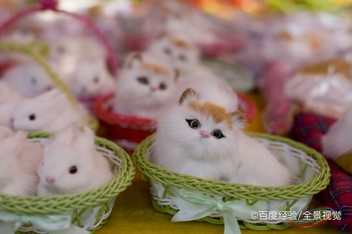 猫怕人躲起来怎么办