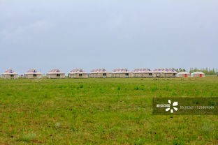 中都草原游玩攻略