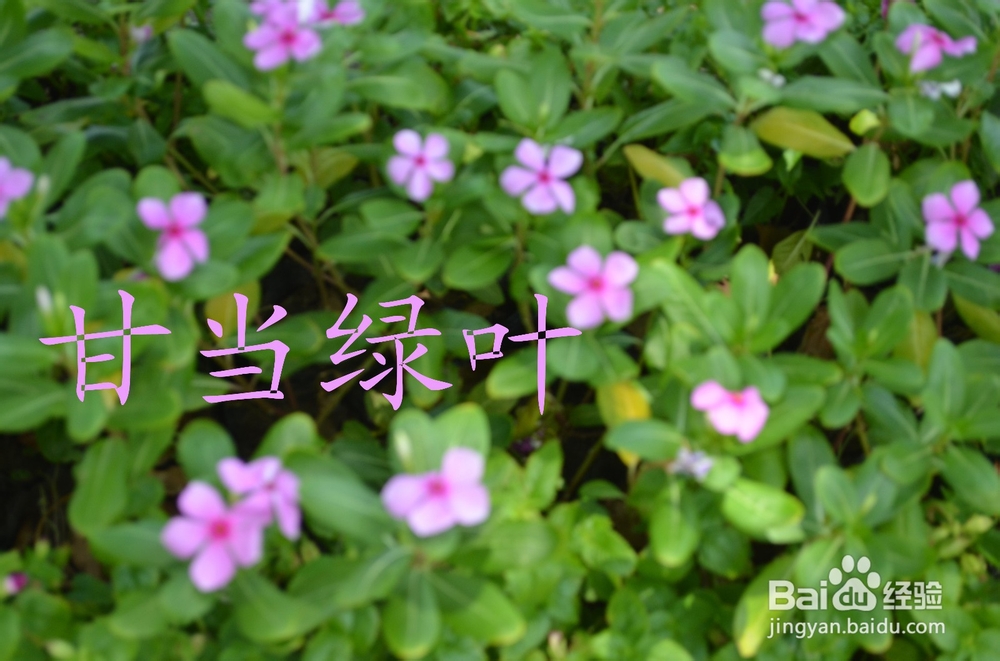 如何当好人民公仆