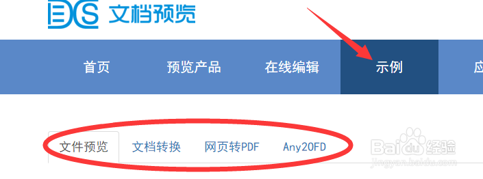 市场上常见两种文档在线预览服务的区别