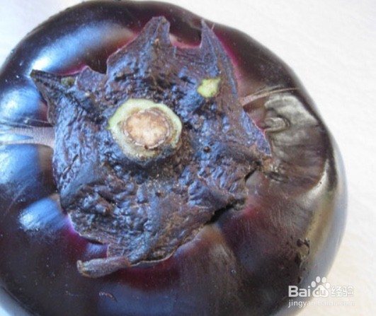 圆茄子的家常做法