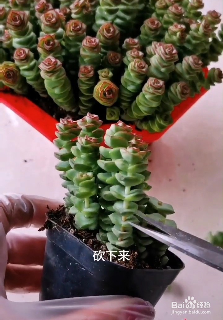 如何改善你的油性皮肤