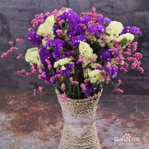 勿忘我怎么养成干花