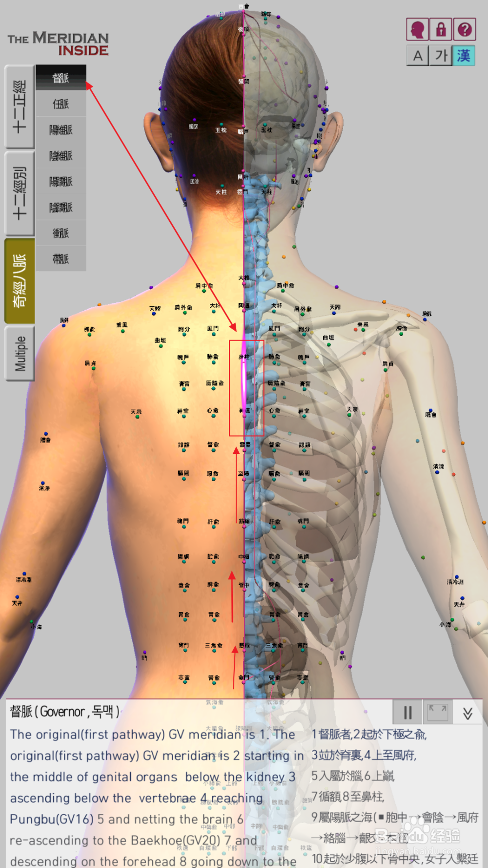 手机怎么样详细查看人体任督二脉奇经八脉3d图谱