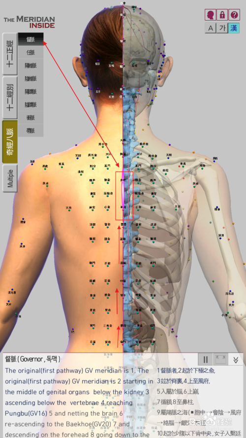 手机怎么样详细查看人体任督二脉奇经八脉3d图谱
