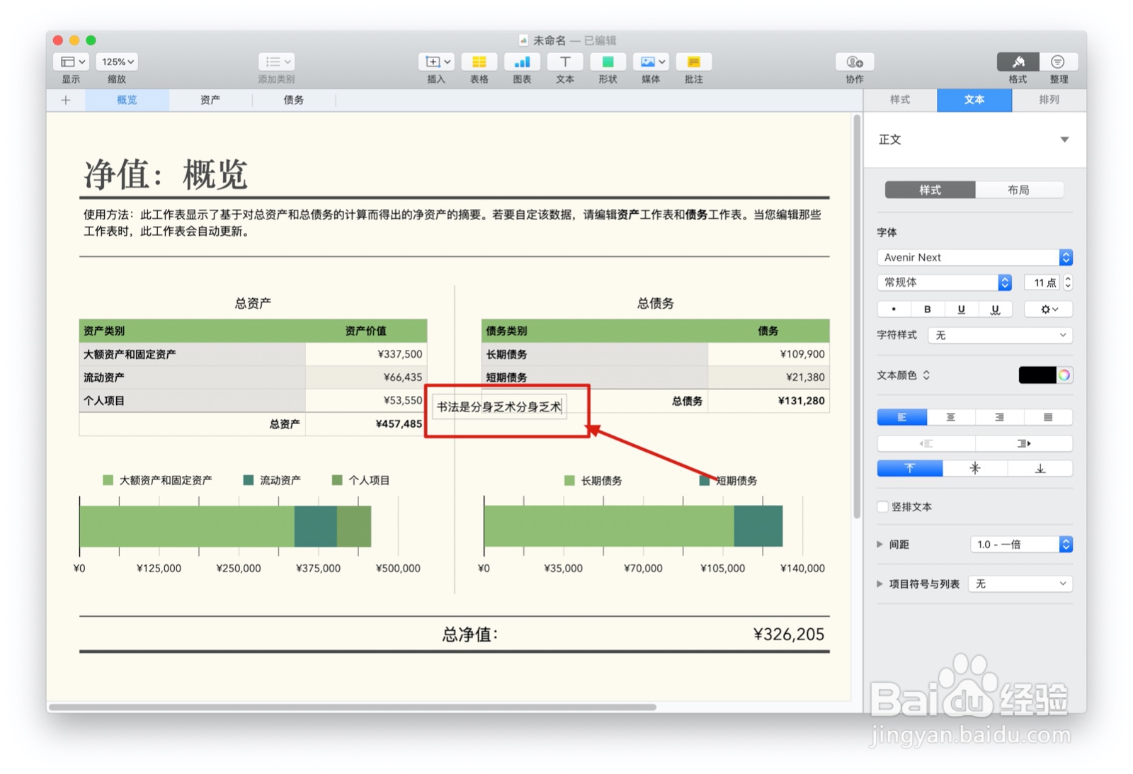 Numbers表格“净值”模板中如何插入文本