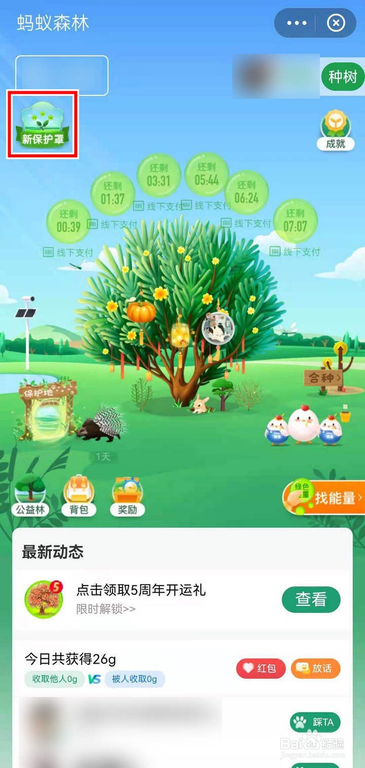 支付宝蚂蚁森林怎么查看测森林人格活动规则