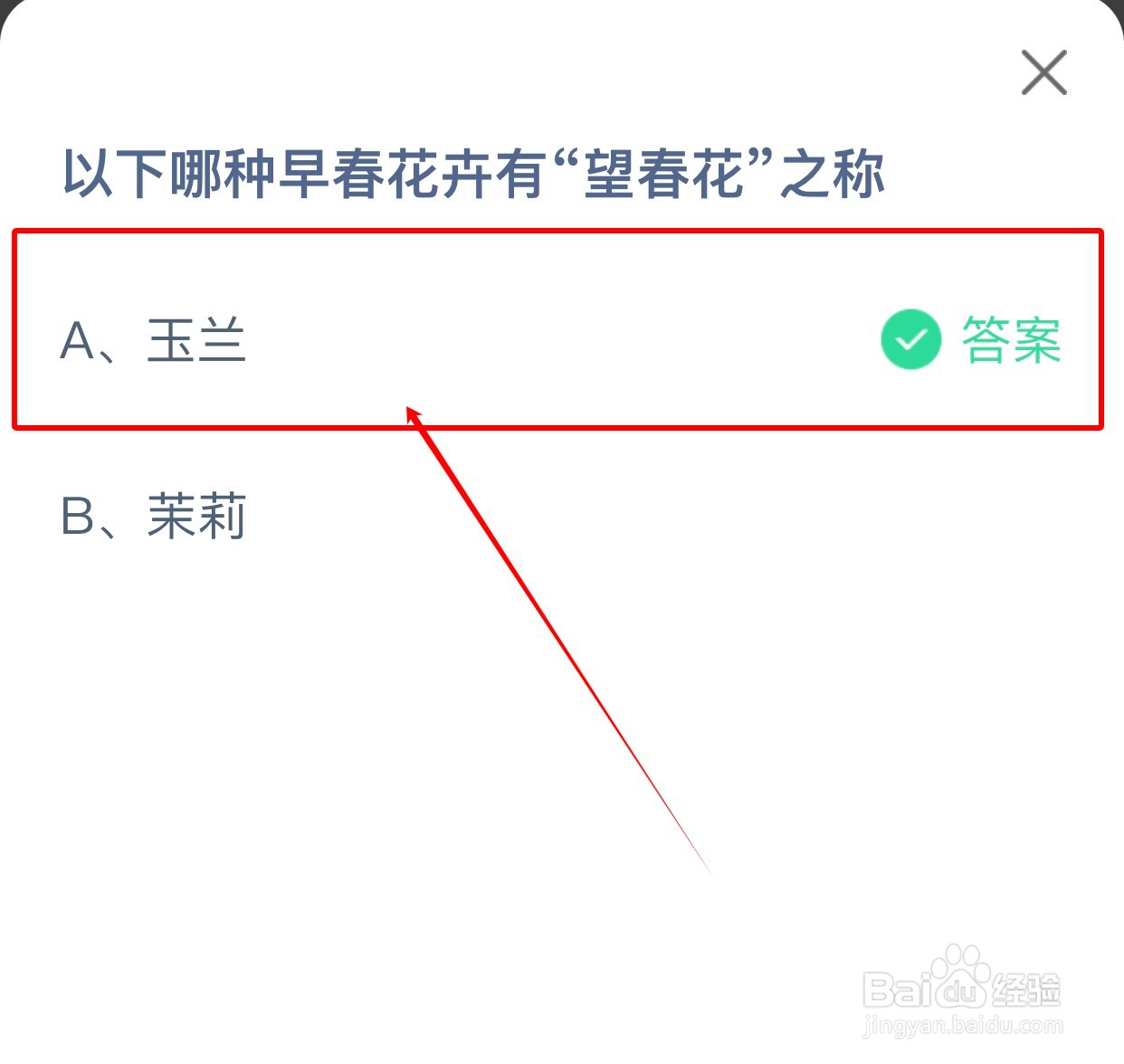 哪种早春花卉有“望春花”的别称?蚂蚁庄园