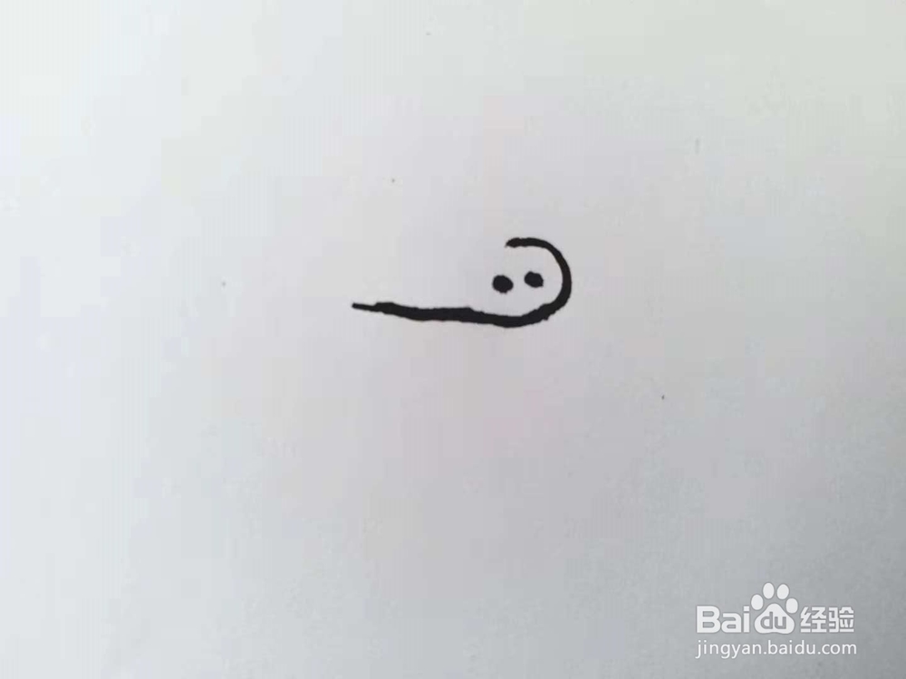 野猪的简笔画法（三）