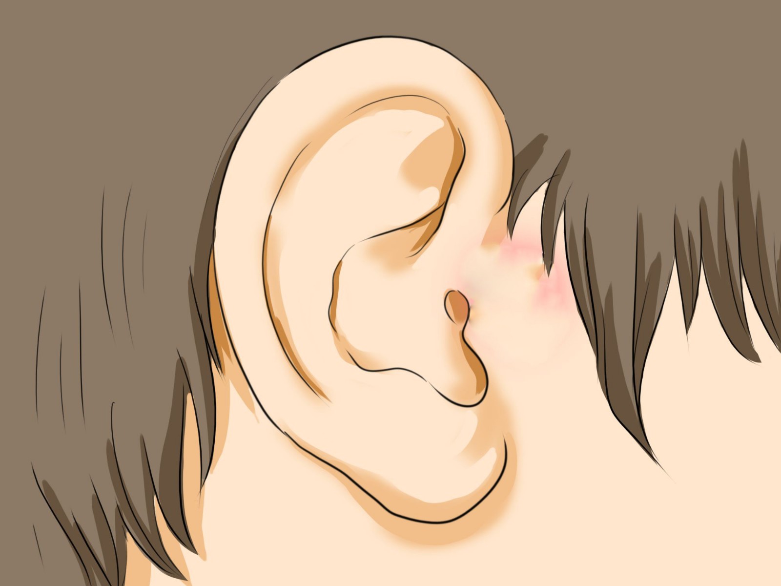 谜语：出生同一天，住在山两边，说话听的见，相互见面难。答案