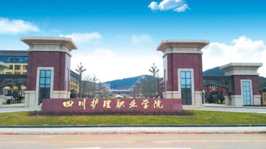 我是护理中专毕业的，想去读全日制的大专，有什么学院可以么