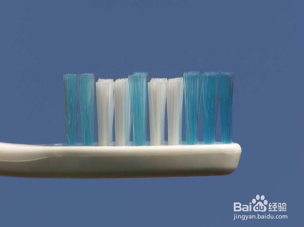 怎样刷牙才是最正确的？