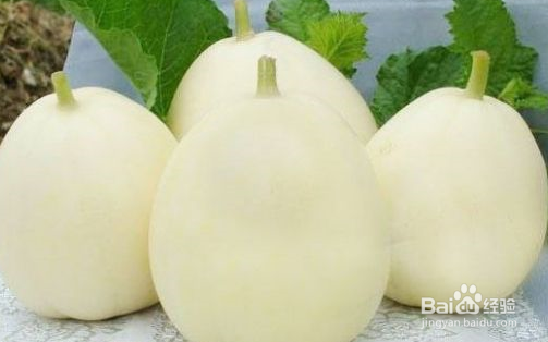 寒性食物一览表