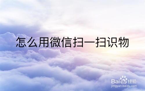 當你不知道某一物品的名稱時,可以用微信的掃一掃識物識別出來.