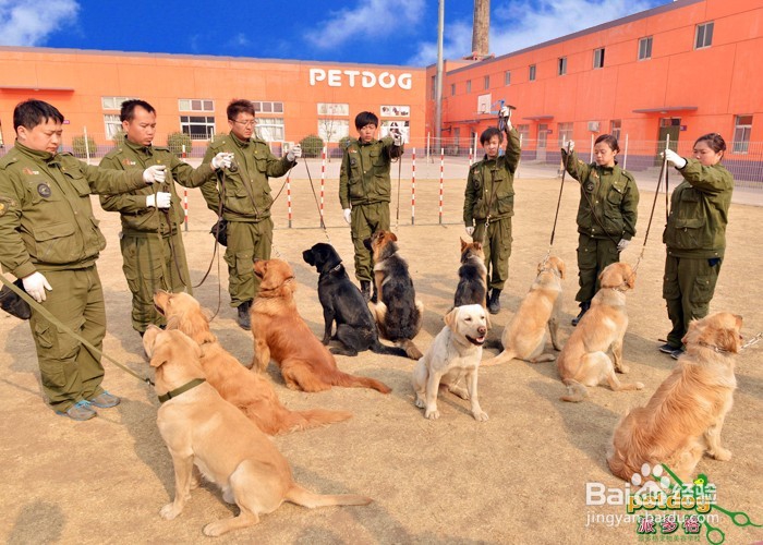 训犬师的工资是多少