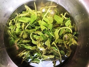食补佳品香椿煎蛋的做法