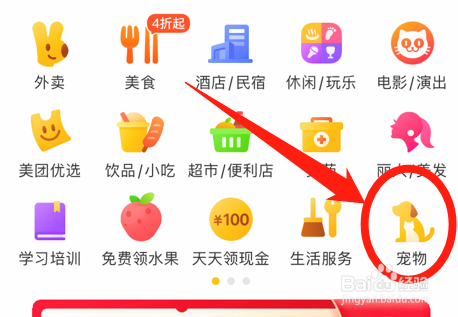 怎么判断猫咪冷不冷