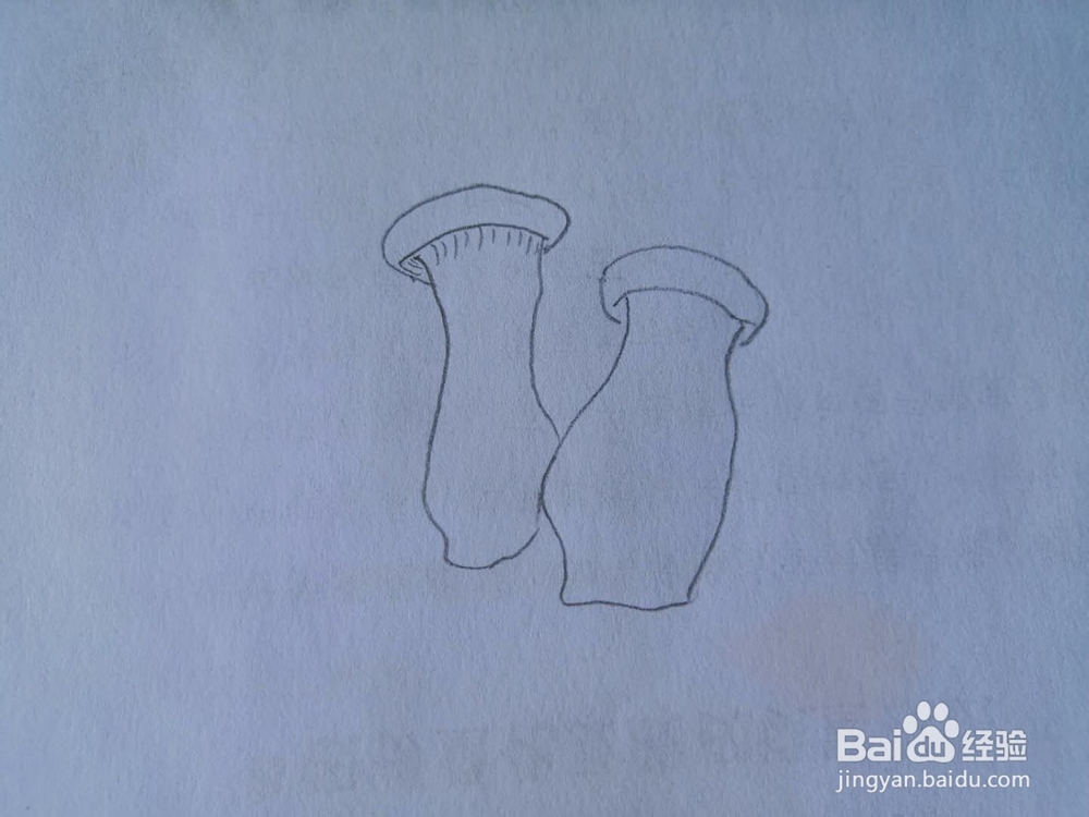 如何画杏鲍菇简笔画？