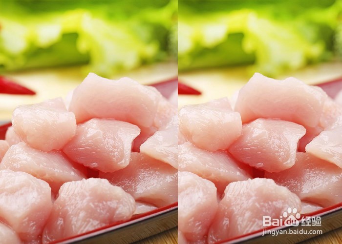 家庭养巴西龟的注意事项