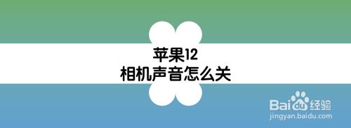 苹果12相机声音怎么关