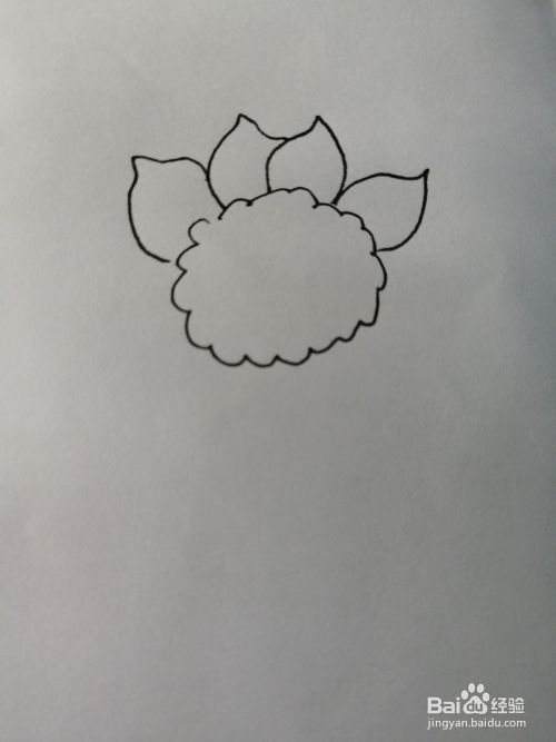 漂亮的小葵花怎么画