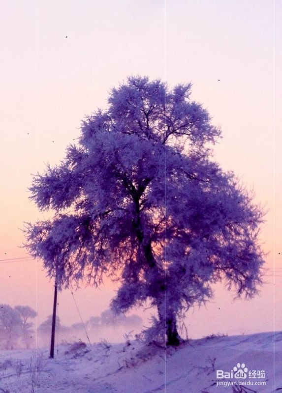 手机摄影技巧：[6]雾凇拍摄小贴士