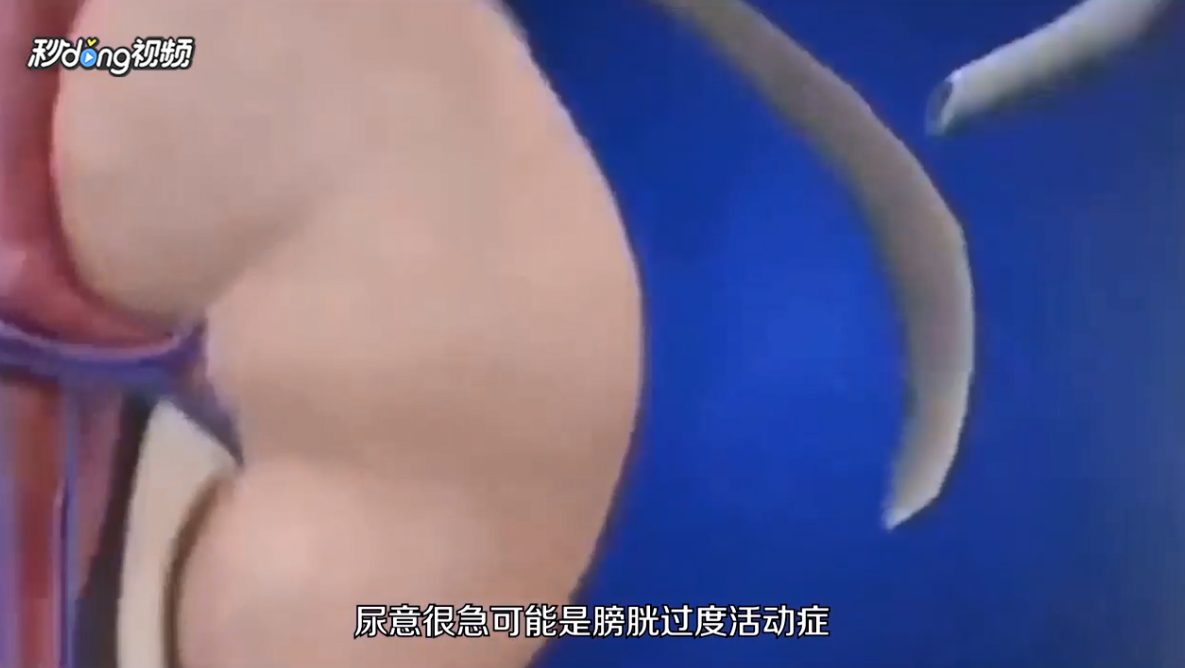 男人一天几次小便算正常