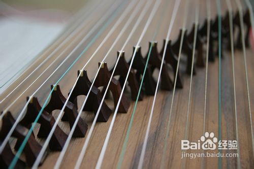 古筝的选购技巧