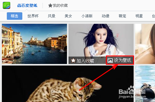 XP系统如何设置自动更换壁纸?