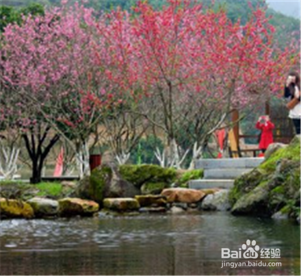 夏季永春适合避暑度假的几个地方