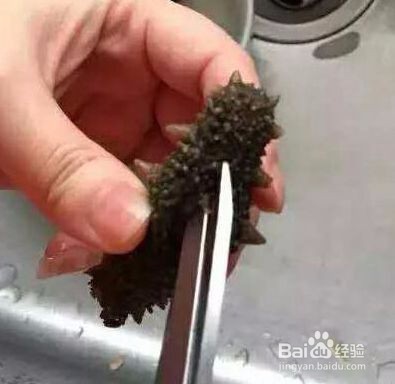 干海参怎么发
