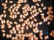 烤制原味花生米