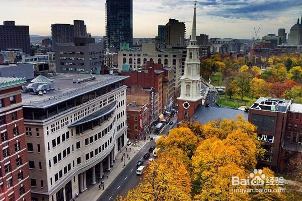 如何从波士顿到纽约